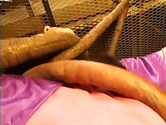 TSW93 Passionate Temptress Demands Rough Ecstasy for Ultimate Satisfaction