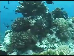 THP02 Passionate Night Cute Babe's Sexy Adventure with BF