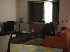 CAWD-314 Naughty Students Slash Firm Butts for Insatiable Group Sex Party