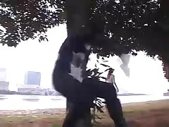 ZDLN23 Angel's Seductive Night Passionate Hardcore Adventure