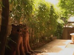 JUY-243-javguru Unbuttoned Teacher Tempts Student in Sizzling School Seduction