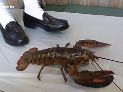 hiyori1-1-3full Moaning Beauties Surrender to One Massive Cock's Power